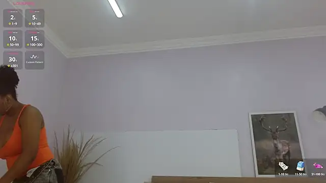 kimara_lion webcam