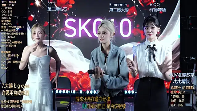 SK010 webcam