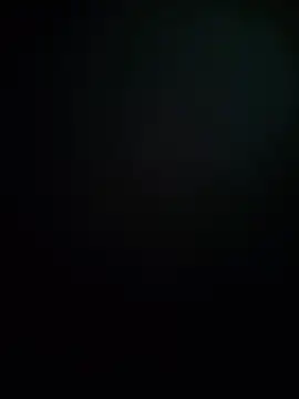 Raykasilva12 webcam