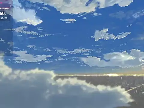 Lovensetest webcam
