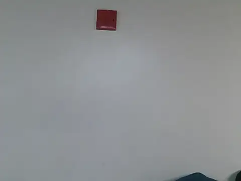 Cavy_candy webcam