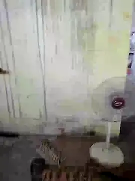 Loomaraj webcam