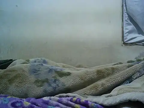 michel1520 webcam