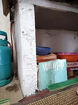 -Tara-a