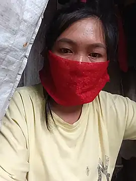 Hiha-nn webcam