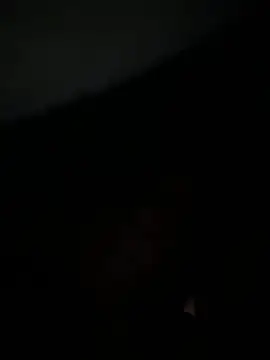 ChipichipiDFoxy webcam