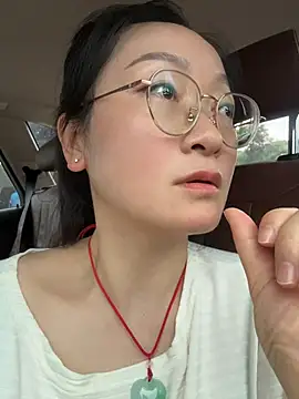 h-139431 webcam