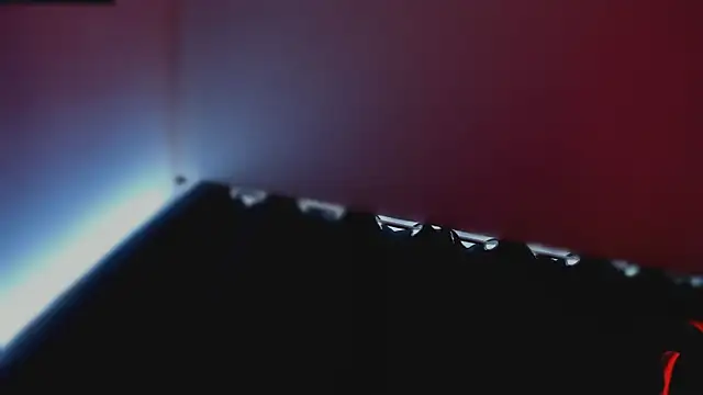 Taylor__foxxx webcam