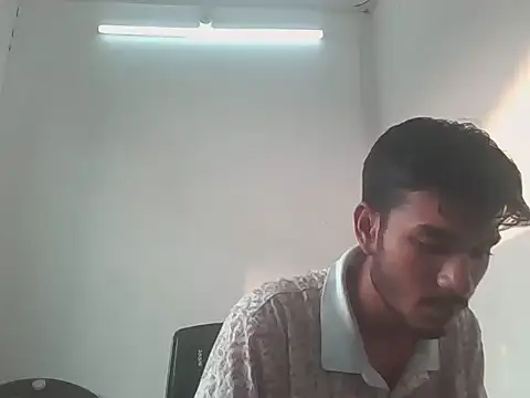 badaa_lund webcam