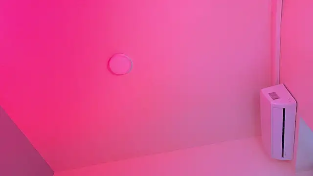 LexaDominant__ webcam