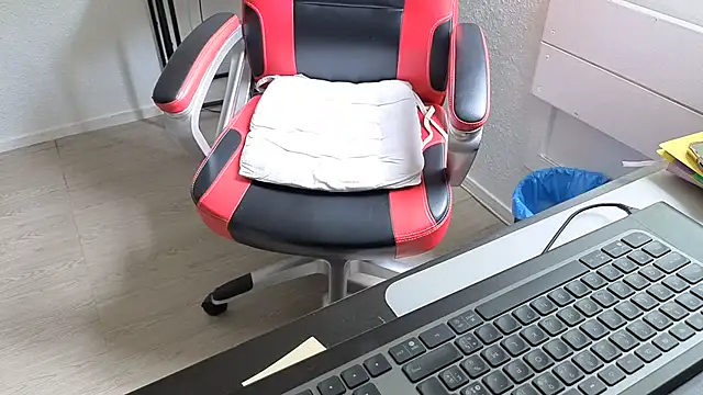 Sofiatwork webcam