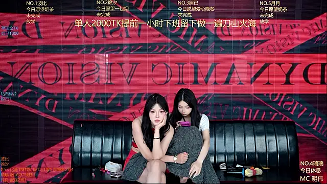 YB--007 webcam