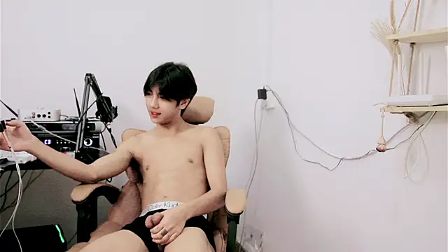 VIP-77 webcam