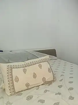 hottydisha webcam