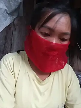 Hiha-nn webcam