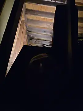 Boogiehtx713
