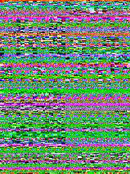 cmvoo webcam