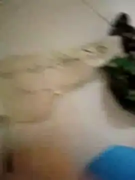 Misty-54 webcam