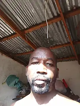 WiseDi Live Web Cam Show
