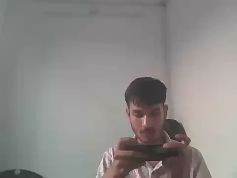 badaa_lund webcam