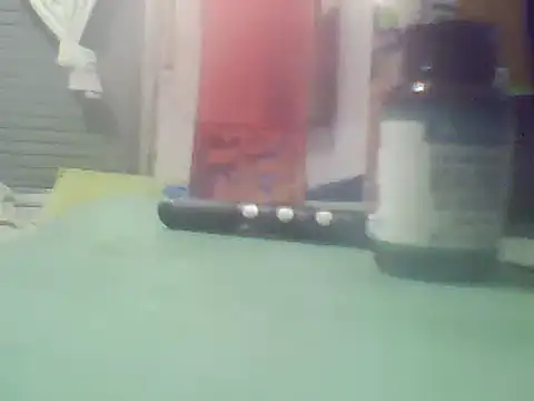 ger211 webcam