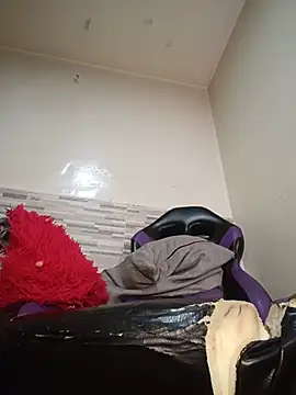 AvaChannel webcam