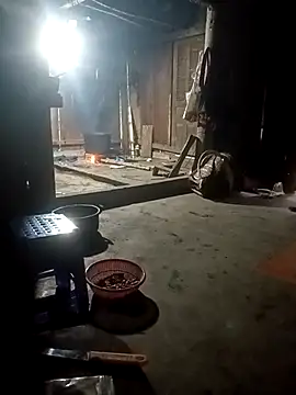 Momo-biki webcam