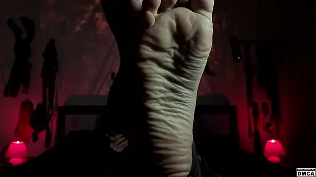 Amanita__Pantherina webcam