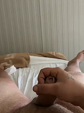 Pala99 live cam on StripChat