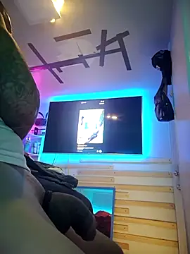 hpcouplee420 webcam