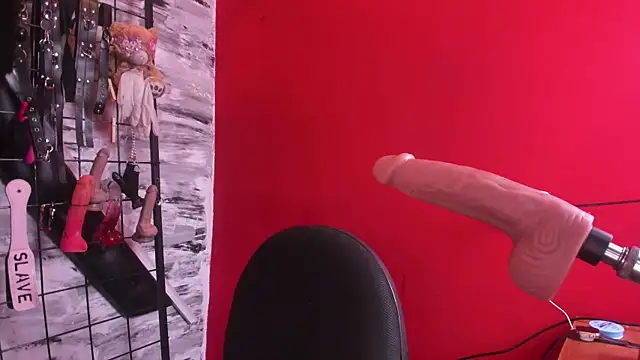 Venus_Bms_ webcam
