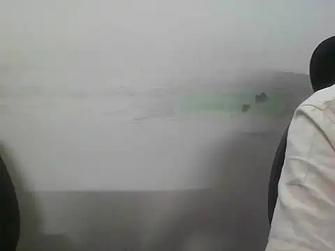 adiasianco webcam