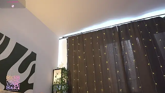 FlairEdgin webcam