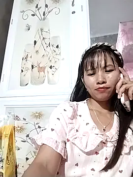 Wily-06 webcam