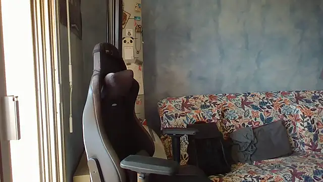 panda_06200 webcam