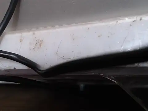 naikah714 webcam