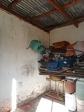 WiseDi Live Web Cam Show