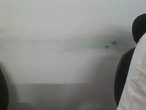 adiasianco webcam