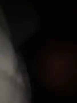 ChipichipiDFoxy webcam