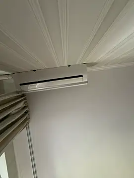 Frosl webcam