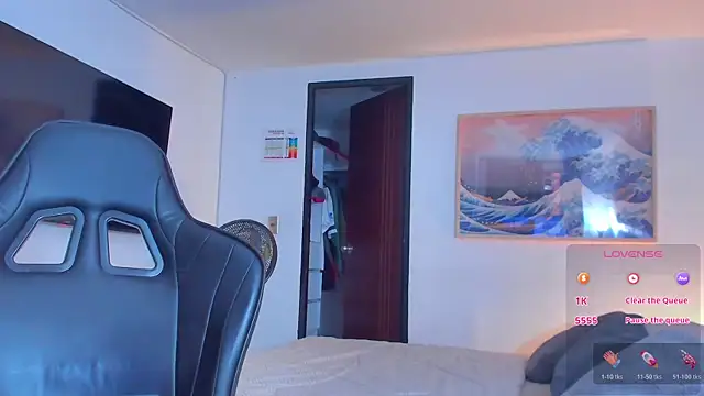 RJBarto webcam