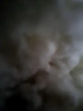 japosamel webcam
