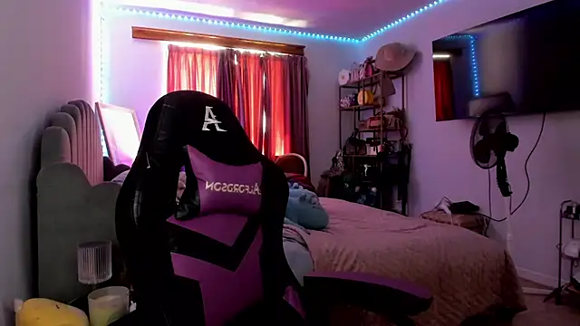 Model: rubix_ts