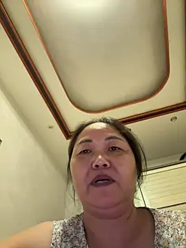hannzn webcam