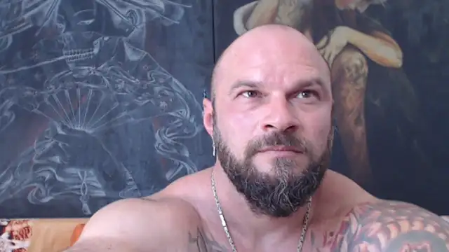 viking_30 webcam