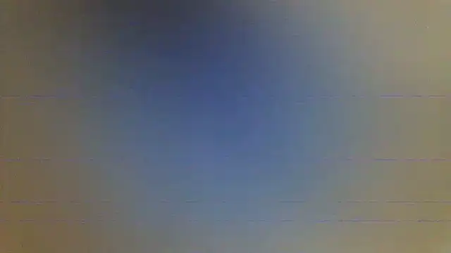NuttyProfesir webcam