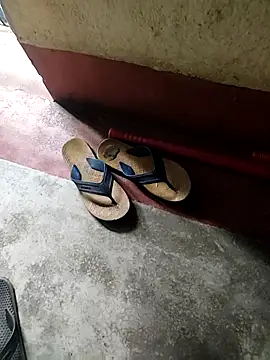 lambakooli webcam
