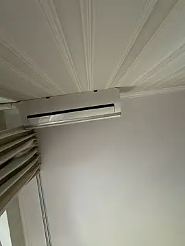 Frosl webcam
