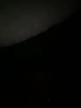 ChipichipiDFoxy