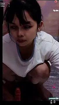 cutepets1 webcam